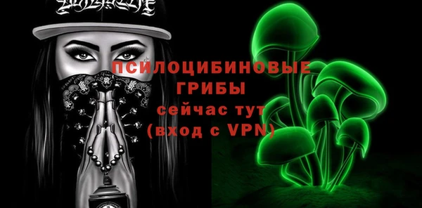 2c-b Мегион