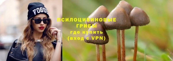 2c-b Мегион