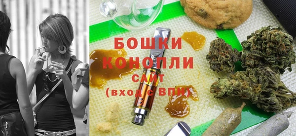 2c-b Мегион