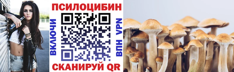 KRAKEN онион  Шилка  Псилоцибиновые грибы MAGIC MUSHROOMS 